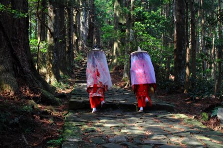 Kumano Kodo Walking & Hiking Tour