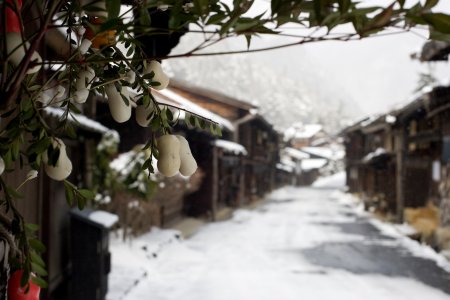 Nakasendo Trail Winter Tour