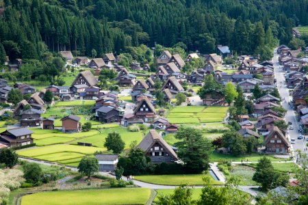 The Golden Triangle of Japan