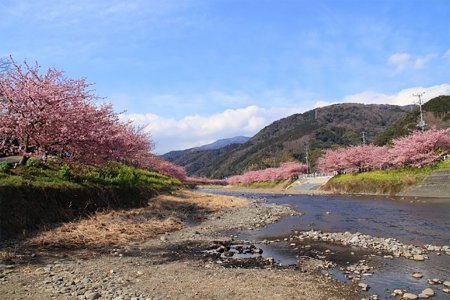 Hokkaido & Beyond