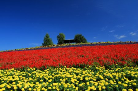 Charms of Hokkaido