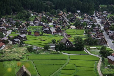 Between Tokyo & Osaka