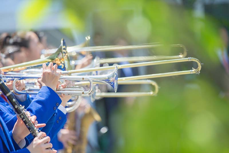 japan band and concert