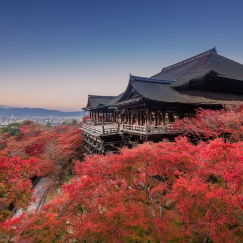 AUTUMN IN JAPAN