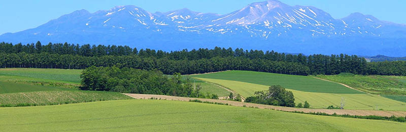 destination in japan Hokkaido