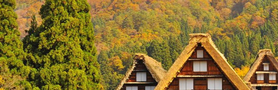 destination in japan Hokkaido