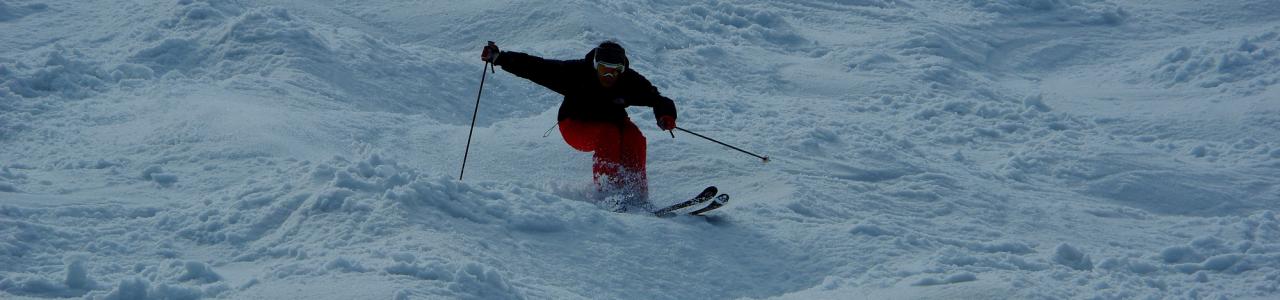 Skiing & Snowboarding