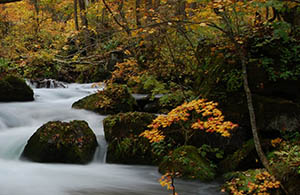 1 Oirase Mountain Stream (Aomori)