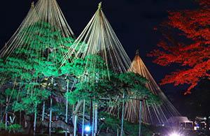 4 Kenrokuen Garden (Kanazawa)