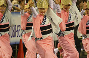 Awa Odori Dance Festival