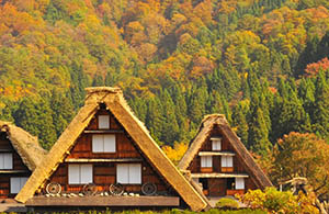 6 Shirakawago (Gifu)