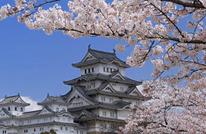 8 Himeji Castle (Himeji)