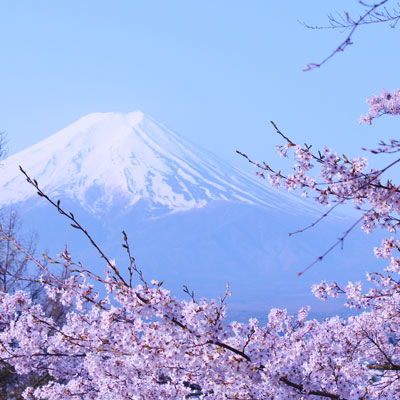 photo of Spring in Japan