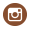 instagram icon